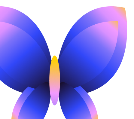 butterfly image